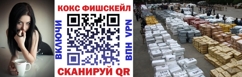 mega как зайти  Чкаловск  Cocaine 99% 