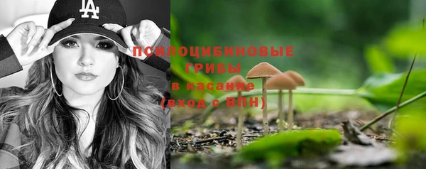 стаф Верхний Тагил