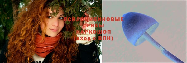 стаф Верхний Тагил