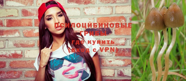 дурь Верея